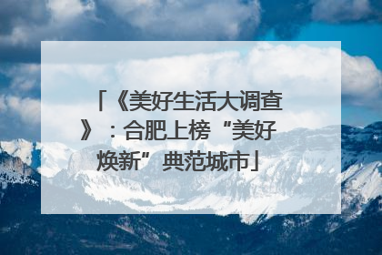 《美好生活大调查》：合肥上榜“美好焕新”典范城市