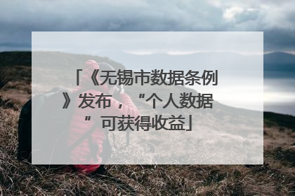 《无锡市数据条例》发布，“个人数据”可获得收益