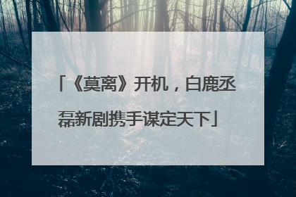 《莫离》开机，白鹿丞磊新剧携手谋定天下