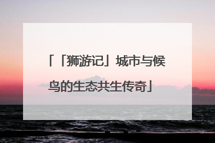 「狮游记」城市与候鸟的生态共生传奇