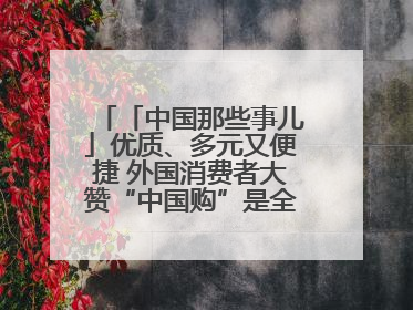 「中国那些事儿」优质、多元又便捷 外国消费者大赞“中国购”是全新体验！