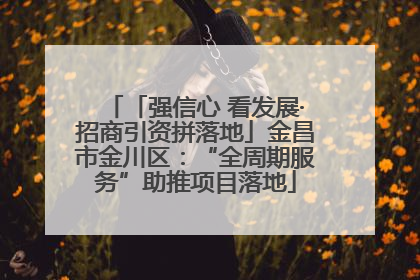 「强信心 看发展·招商引资拼落地」金昌市金川区：“全周期服务”助推项目落地