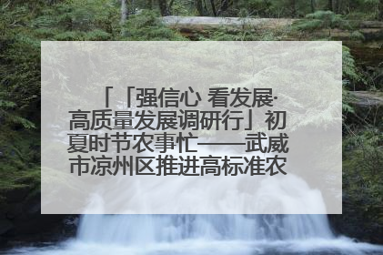「强信心 看发展·高质量发展调研行」初夏时节农事忙——武威市凉州区推进高标准农田建设见闻