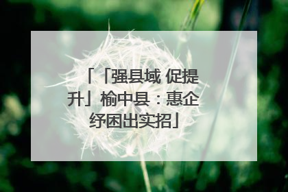 「强县域 促提升」榆中县：惠企纾困出实招