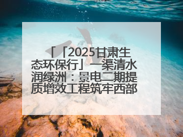「2025甘肃生态环保行」一渠清水润绿洲：景电二期提质增效工程筑牢西部生态安全屏障