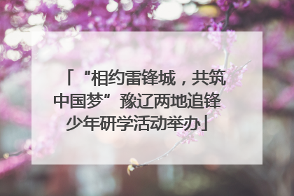“相约雷锋城，共筑中国梦”豫辽两地追锋少年研学活动举办
