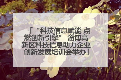 “科技信息赋能 点燃创新引擎” 淄博高新区科技信息助力企业创新发展培训会举办