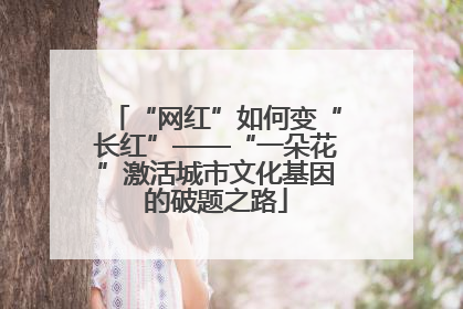 “网红”如何变“长红”——“一朵花”激活城市文化基因的破题之路