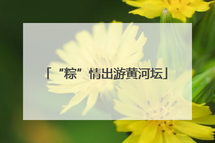 “粽”情出游黄河坛
