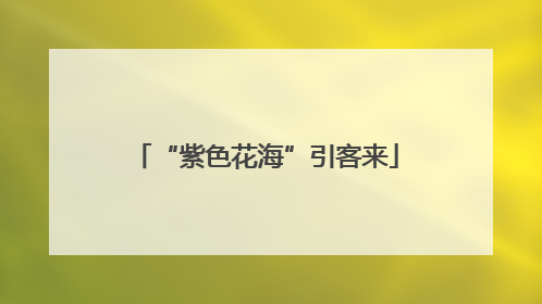 “紫色花海”引客来