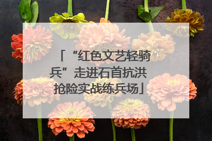 “红色文艺轻骑兵”走进石首抗洪抢险实战练兵场