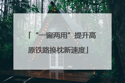 “一窗两用”提升高原铁路换枕新速度