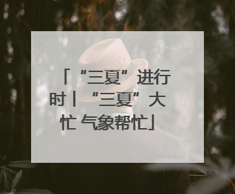 “三夏”进行时丨“三夏”大忙 气象帮忙