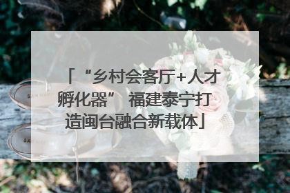 “乡村会客厅+人才孵化器” 福建泰宁打造闽台融合新载体