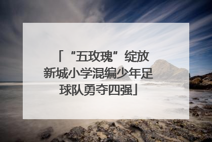 “五玫瑰”绽放 新城小学混编少年足球队勇夺四强
