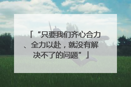 “只要我们齐心合力、全力以赴，就没有解决不了的问题”