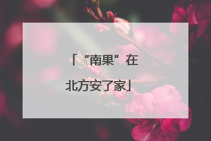 “南果”在北方安了家