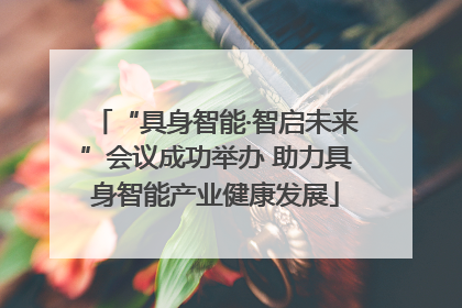 “具身智能·智启未来”会议成功举办 助力具身智能产业健康发展