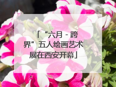 “六月 - 跨界”五人绘画艺术展在西安开幕