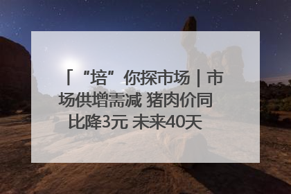 “培”你探市场｜市场供增需减 猪肉价同比降3元 未来40天便宜猪肉敞开吃