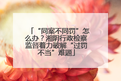 “同案不同罚”怎么办？湘阴行政检察监督着力破解“过罚不当”难题