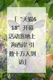 “天猫618”开幕活动落地上海西岸 引数十万人到访