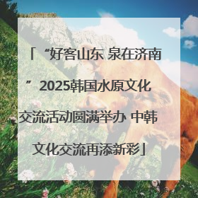 “好客山东 泉在济南”2025韩国水原文化交流活动圆满举办 中韩文化交流再添新彩