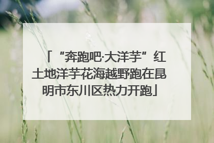 “奔跑吧·大洋芋”红土地洋芋花海越野跑在昆明市东川区热力开跑