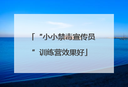 “小小禁毒宣传员”训练营效果好