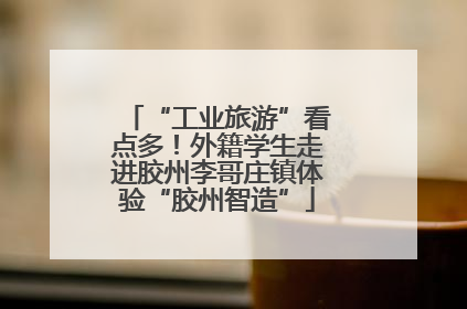 “工业旅游”看点多！外籍学生走进胶州李哥庄镇体验“胶州智造”