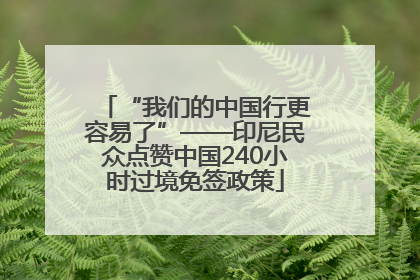 “我们的中国行更容易了”——印尼民众点赞中国240小时过境免签政策