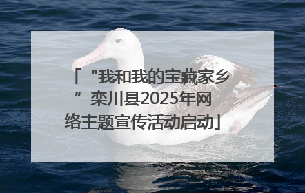 “我和我的宝藏家乡”栾川县2025年网络主题宣传活动启动