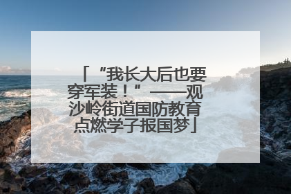 “我长大后也要穿军装！”——观沙岭街道国防教育点燃学子报国梦