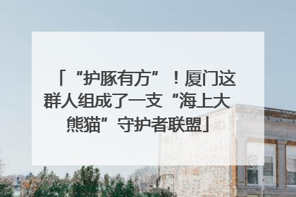 “护豚有方”！厦门这群人组成了一支“海上大熊猫”守护者联盟