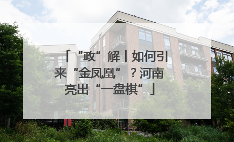 “政”解丨如何引来“金凤凰”？河南亮出“一盘棋”