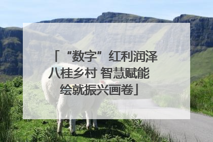 “数字”红利润泽八桂乡村 智慧赋能绘就振兴画卷