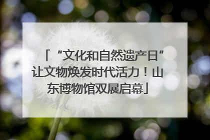 “文化和自然遗产日”让文物焕发时代活力！山东博物馆双展启幕