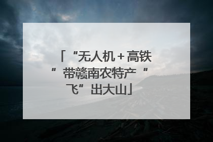 “无人机＋高铁”带赣南农特产“飞”出大山