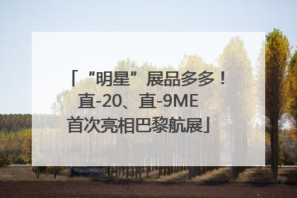 “明星”展品多多！直-20、直-9ME首次亮相巴黎航展