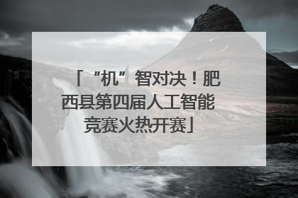 “机”智对决！肥西县第四届人工智能竞赛火热开赛