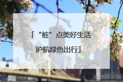 “桩”点美好生活 护航绿色出行