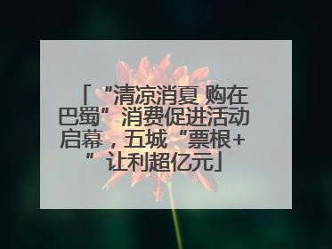 “清凉消夏 购在巴蜀”消费促进活动启幕，五城“票根+”让利超亿元