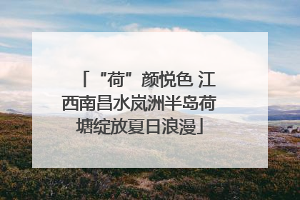 “荷”颜悦色 江西南昌水岚洲半岛荷塘绽放夏日浪漫