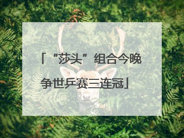 “莎头”组合今晚争世乒赛三连冠