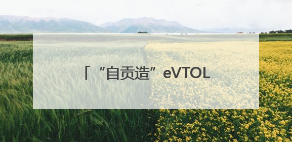 “自贡造”eVTOL航空器沃兰特VE25-100原型机正式亮相