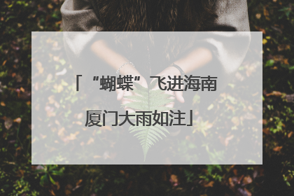 “蝴蝶”飞进海南 厦门大雨如注