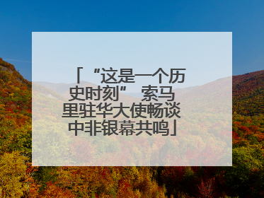 “这是一个历史时刻” 索马里驻华大使畅谈中非银幕共鸣