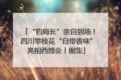 “豹局长”亲自到场！四川攀枝花“自带香味”亮相西博会丨图集