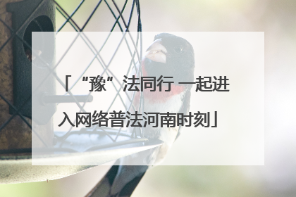 “豫”法同行 一起进入网络普法河南时刻