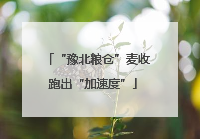 “豫北粮仓”麦收跑出“加速度”